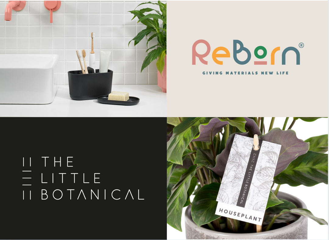 The Little Botanical Bathroom Plant Bundle & The Reborn Bathroom Collection